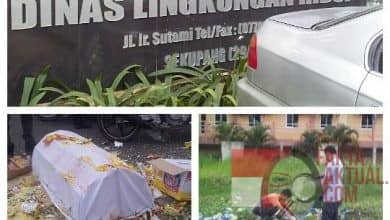 DLH Bungkam Terkait Laporan Warga Mengenai Pembakaran Limbah Oleh PT. SP