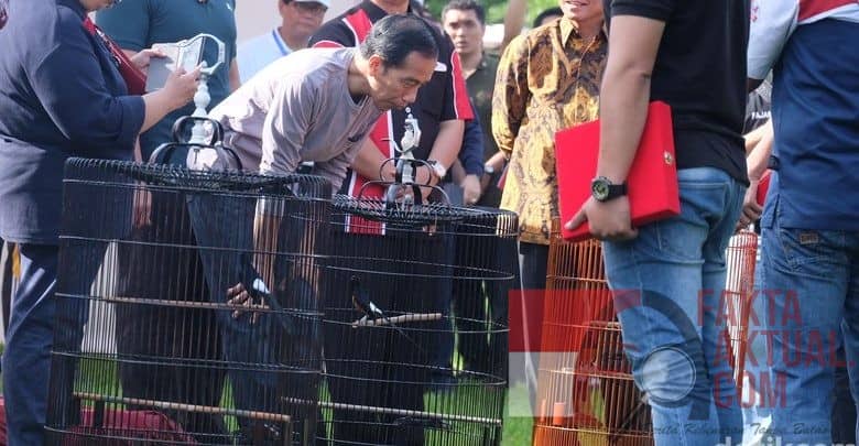Jokowi Kagumi Juri Jujur, Burungnya Kalah di Perlombaan