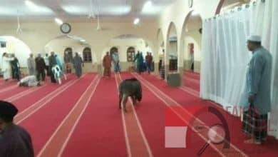 Lukai Jemaah Saat Salat, Babi Hutan Masuk Masjid