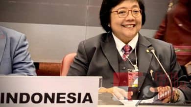Mercuri Di Conference of Parties, Menteri KLHK: Kurangi Pemakaiannya