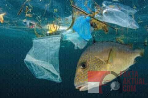 Pecinta Laut, Selamatkan Laut Dari Sampah Plastik