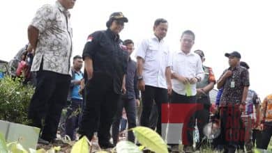 Photo of Menteri LHK, Respond Arahan Presiden Untuk Hijaukan Daerah Dampak Banjir