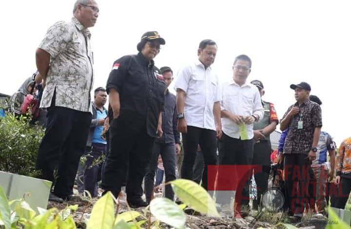Menteri LHK, Respond Arahan Presiden Untuk Hijaukan Daerah Dampak Banjir