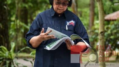 Photo of Dampingi Presiden Ke Magelang, Menteri LHK: Lindungi Hutan Dan Lingkungan Kita
