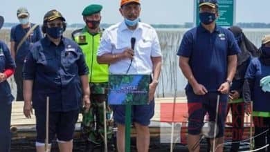 Menteri LHK Bersama Menko Marves, Tumbuhkan Mangrove Menteri LHK Bersama Menko Marves, Tumbuhkan Mangrove