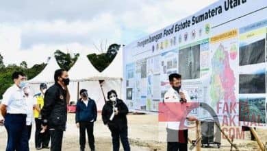 Presiden RI Bersama Menteri LHK, Tinjau Pertanian DiHumbang Has Sumut