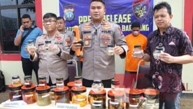 Kasat Polairud Polresta Barelang Ungkap Penyeludupan Biota Laut Tujuan Singapur Kasat Polairud Polresta Barelang Ungkap Penyeludupan Biota Laut Tujuan Singapur