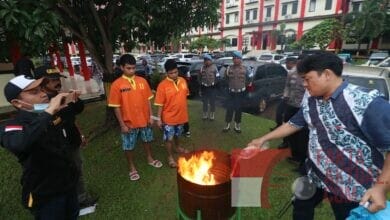 Pemusnahan BB Narkotika Jenis Ganja Oleh Ditresnarkoba Polda Kepri Pemusnahan BB Narkotika Jenis Ganja Oleh Ditresnarkoba Polda Kepri