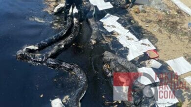 Polda Kepri Lakukan Penyelidikan Tumpahan Limbah Dilaut Batam Polda Kepri Lakukan Penyelidikan Tumpahan Limbah Dilaut Batam