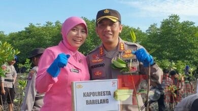Kapolresta Barelang Ikut Penanaman Mangrove di Setokok, Serentak Wilayah Polda Kepri Kapolresta Barelang Ikut Penanaman Mangrove di Setokok, Serentak Wilayah Polda Kepri