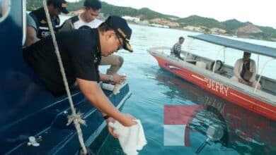 Bea Cukai Batam Gagalkan Penyelundupan Benih Baby Lobster Senilai Rp 5,5 Miliar Bea Cukai Batam Gagalkan Penyelundupan Benih Baby Lobster Senilai Rp 5,5 Miliar