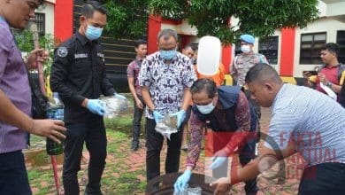 Polda Kepri Musnahkan BB Jenis Ganja