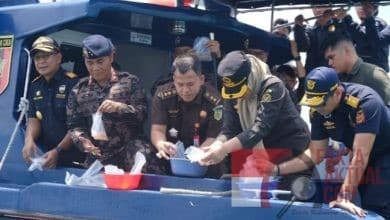 Bea Cukai Batam Gagalkan Penyelundupan Benih Lobster  dengan Potensi Kerugian Negara 90 Miliar Rupiah