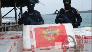 Bea Cukai Batam Berhasil Lagi Gagalkan Penyelundupan 275.000 Benih Lobster Tujuan Malaysia 