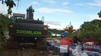 Hutan Papua Bukan Milik Negara Tapi Hutan Adat
