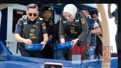 Lagi-Lagi BC Batam Gagalkan Penyeludupan Benih Lobster Dengan Nilai 26 Miliar Rupiah
