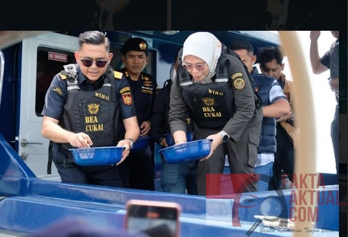Lagi-Lagi BC Batam Gagalkan Penyeludupan Benih Lobster Dengan Nilai 26 Miliar Rupiah