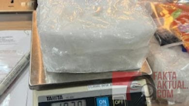 Selundupkan Narkoba Dalam Koper, Dua Calon Penumpang Pesawat Diamankan Bea Cukai Batam