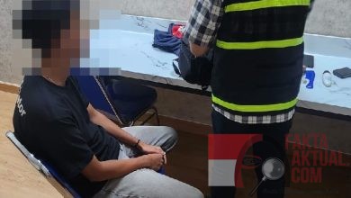 Bea Cukai Batam Gagalkan Penyelundupan Narkotika dan Ribuan Paket Barang Kiriman Ilegal