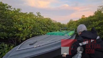 Satgas Pemberantasan Penyelundupan Bea Cukai Batam  Catat Kinerja Luar Biasa