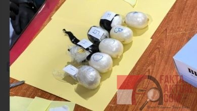 Bea Cukai Batam Ungkap Dua Modus Penyelundupan 1,5 Kg Narkotika di Batam Center dan Perairan Pulau Sau Bea Cukai Batam Ungkap Dua Modus Penyelundupan 1,5 Kg Narkotika di Batam Center dan Perairan Pulau Sau