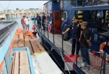 Aksi Cepat Bea Cukai Batam, 1.250 Balok Kayu Ilegal Diamankan dari KM Rasidin
